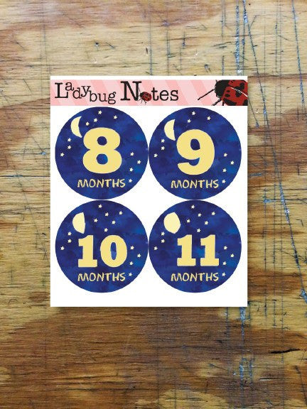 To the Moon and Back Baby Onesie Stickers - Ladybug Notes