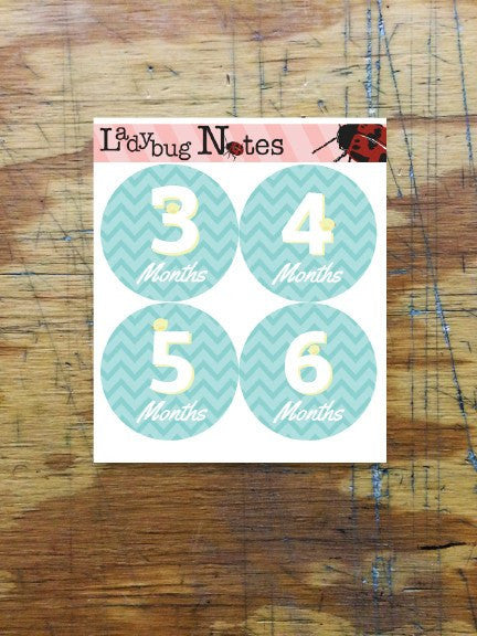 Little Birdie Chevron Onesie Stickers - Ladybug Notes