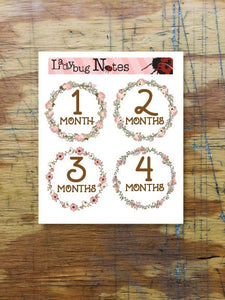 Floral Wreath Milestone Stickers - Ladybug Notes