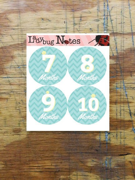 Little Birdie Chevron Onesie Stickers - Ladybug Notes